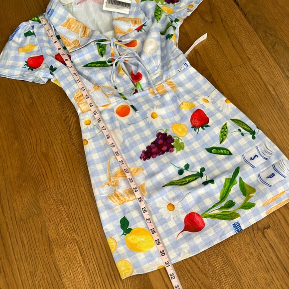 NWT Lisa Says Gah Picnic Alfresco Gingham Alexa Shirtdress XS - Picture 5 of 13